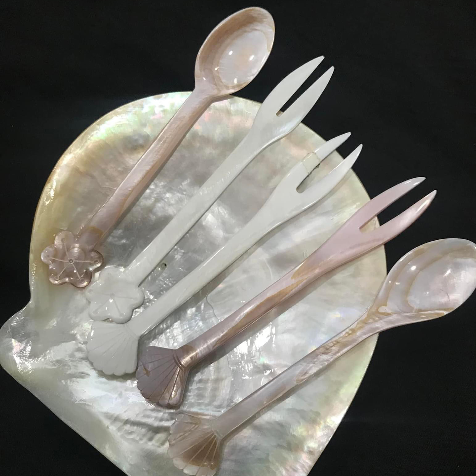 Sản phẩm vỏ sò khác